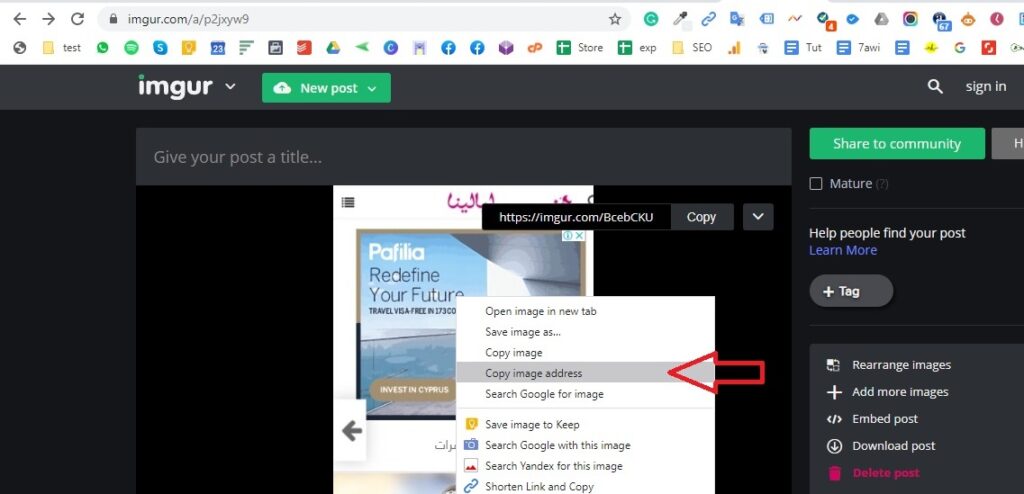 Right click on the image and copy image address