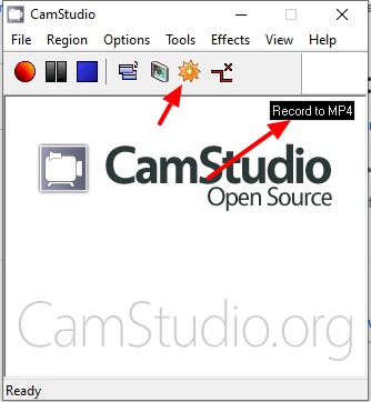 Make sure to record as mp4 by click on this button